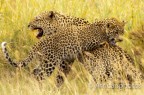MAMMA E PICCOLO MAMMA E PICCOLO
