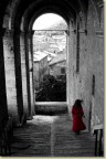 Un tocco di colore Un tocco di colore
