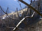 Chiesa di Bolentina - Montes Chiesa di Bolentina - Montes