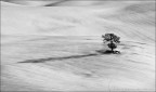 ...morbide linee... ...morbide linee...