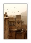 Amer Fort