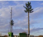 antenne truccate..da albero! antenne truccate..da albero!