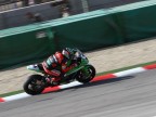 David Salom David Salom