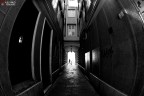Verso la luce Verso la luce