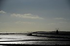 ...saline ...saline
