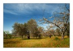 pace.. pace..