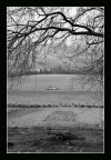 "...Il carretto passava..." "...Il carretto passava..."