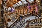 Londra Museo di Storia Naturale