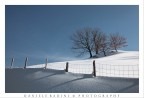 ..ultima neve... ..ultima neve...