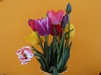 Tulipani Tulipani