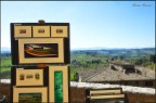 Visioni Visioni