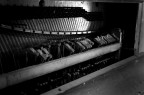 piano....forte piano....forte