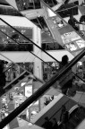 La vita è fatta a scale...(mobili) La vita è fatta a scale...(mobili)
