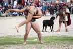 Roma Circo Massimo - Ricostruzione usi e battaglie Impero Roma Circo Massimo - Ricostruzione usi e battaglie Impero