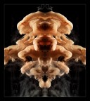 Presenze nel liquido