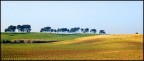 Campagna Laziale Campagna Laziale