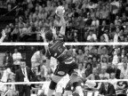 VDay Volley 2012 Assago (MI) VDay Volley 2012 Assago (MI)