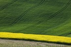 giallo/verde giallo/verde