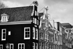 Scorcio Olandese Scorcio Olandese