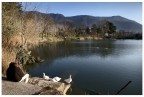 Al Lago Al Lago