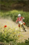 motocross 11 motocross 11