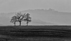 Val D'Orcia bn Val D'Orcia bn