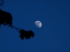 MOON-VOLLEY MOON-VOLLEY