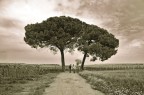 Campagna Campagna