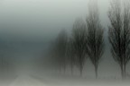 Il futuro è sempre davanti a noi, invisibile Il futuro è sempre davanti a noi, invisibile