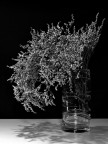 vaso con fiorellini vaso con fiorellini