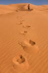 Lost Lost