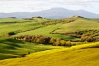 ... a colori ... a colori