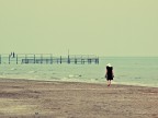 Rimini Rimini