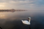 Due passi (?) lungo il lago Due passi (?) lungo il lago