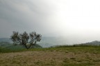 Tempesta al di là della collina Tempesta al di là della collina