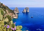capri, vista panoramica