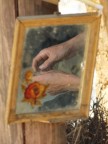 riflessi di vita riflessi di vita