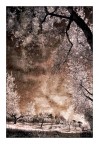 Rosso stucco Rosso stucco