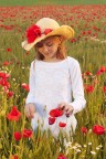 Primavera Primavera