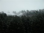 Abeti innevati Abeti innevati