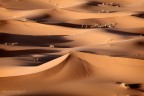 07-05-2012-0700. 07-05-2012-0700.