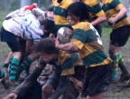 L'attacco alla linea del Rugby Cus Milano