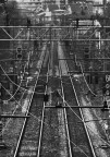 Percorsi paralleli Percorsi paralleli