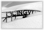 neve neve
