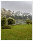 lago lago