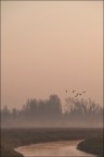 L'odore e il canto di un mattino.. L'odore e il canto di un mattino..