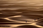 08-05-2012-0868. 08-05-2012-0868.