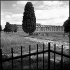 Scansione da negativo Kodak Tmax 100
Hasselblad 503CX con Zeiss Sonnar 50 mm

Paestum: il tempio di Nettuno
Maggio 2012