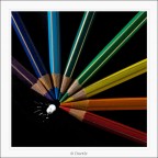 il Gran Consiglio Cromatico