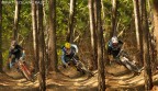 MTB---TreStili MTB---TreStili